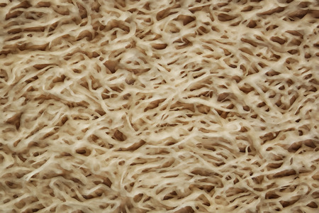 Computer generated abstract background and detail of white fiber の写真素材