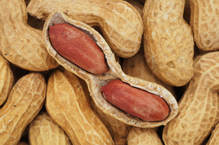 Close-up and detail of peanut backgroundの写真素材