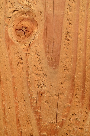 Background Texture Of A Freshy Cut Plank Of Woodの写真素材