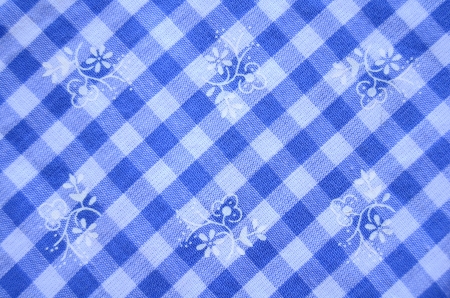 Pretty Blue Checked Dress Material With Flowersの写真素材
