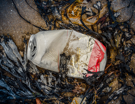 Pollution Image Of A Beer Can On A Beach Surrounded By Seaweedのeditorial素材
