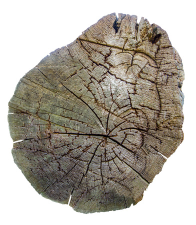 Isolation Of A Cut Tree Stump With Clipping Pathの写真素材