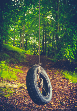 Retro Style Childhood Image Of A Tyre Swing Deep In A Forestの写真素材