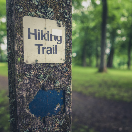 Rustic Hiking Trail Sign On A Wooden Post In A Forestの写真素材