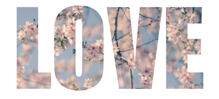 The Word Love Filled With Romantic Pink Blossomの写真素材