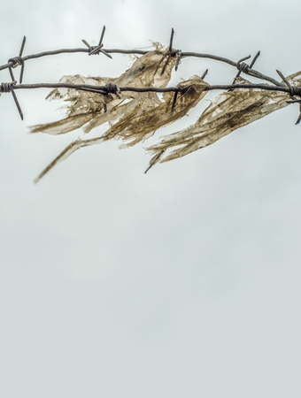 Detail Of Grungy Barb Wire And Plastic In A Prison Yard Or Border With Copy Spaceの写真素材