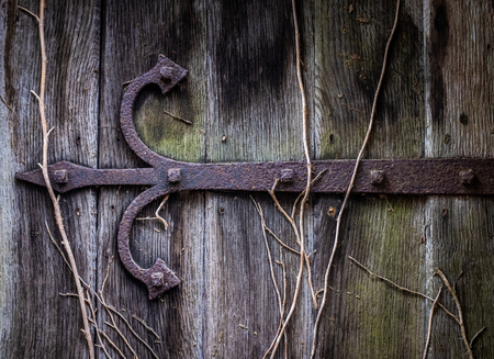 Ancient Rusty Door Hinge On An Old Church Or Catherdral Door With Vines