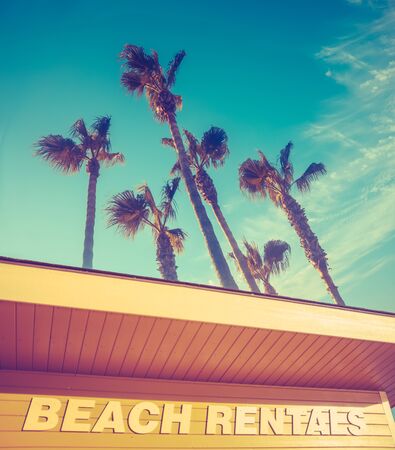 Beach Rentals Sign At A Beach In Hawaii With Palm Trees And Copy Spaceの写真素材