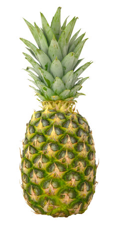 Isolated Fresh Organic Pineapple On A White Backgroundの写真素材