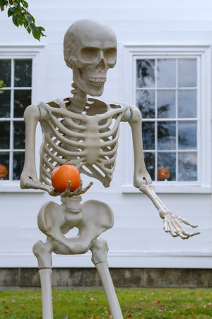 Elaborate Halloween Decorations Of A Giant Skeleton And Pumpkin Outside A House In A US Suburbの写真素材