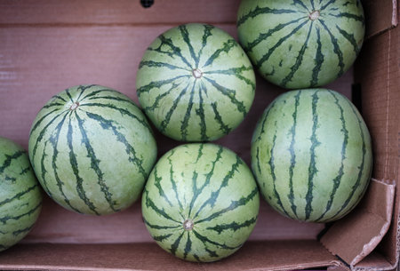 Fresh Watermelon At A Farmer's Market Stallの写真素材
