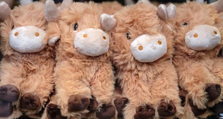 A Row Of Highland Cow Soft Toys In A Store In Edinburgh, Scotlandの写真素材
