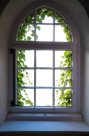 Looking Out Of A Window Surrounded By Leaves In An Old College At A University In England, Isolated On A White Backgroundの写真素材