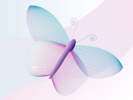 Transparent butterflyの写真素材