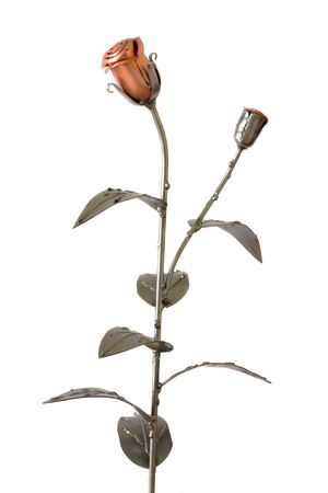 Metal rose and bud isolated on whiteの写真素材