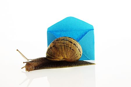 Snail next to miniature mail envelopeの写真素材