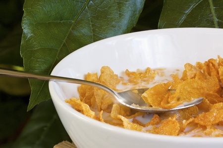 Bowl of cereal closeup outside location