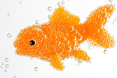 Goldfish underwater with bubblesの写真素材