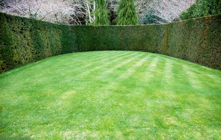 Trimmed hedge around oval lawnの写真素材