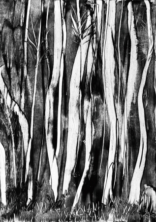 Spooky trees wax paintingの写真素材