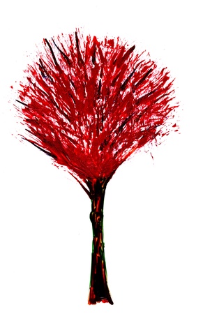 Summer tree in red bloom isolated on white backgroundの写真素材