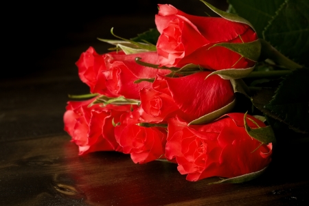 Red roses on a dark wood floorの写真素材
