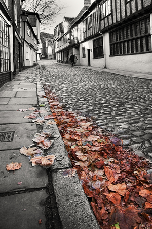 Old cobbled street in black and white with fallen leaves in colour. viewed from low angle close to the kerbの写真素材