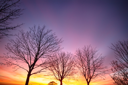 Stunning winter sunset with bare tree silhouettes. Vibrant skies and clouds filled with orange, red and purple colors making the sky look like its on fireの写真素材