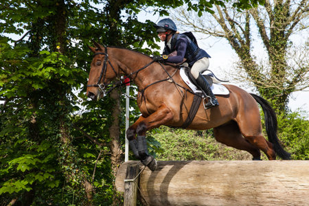 BURNHAM MARKET, NORFOLK/ENGLAND - APRIL 13th 2017: Burnham Market International Horse Trials 2017 cross country jumpsのeditorial素材