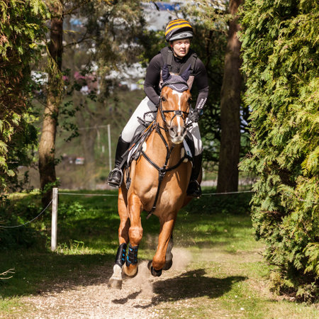 BURNHAM MARKET, NORFOLK/ENGLAND - APRIL 13th 2017: Burnham Market International Horse Trials 2017 cross country eventのeditorial素材