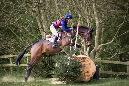 BURNHAM MARKET, NORFOLK/ENGLAND - APRIL 13th 2017: Burnham Market International Horse Trials 2017 cross country eventのeditorial素材