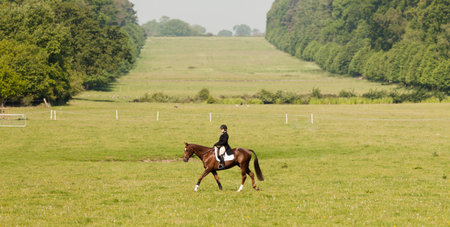 HOUGHTON, NORFOLK/ENGLAND - May 25th 2017: Houghton International Horse Trials 2017, Chilli Knight, Including cross country, eventing, show jumping and dressage at the top levelのeditorial素材