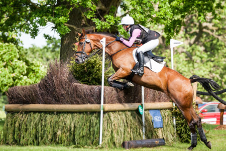HOUGHTON, NORFOLK/ENGLAND - May 27th 2017: Houghton International Horse Trials 2017 Becky Woolven riding Dhi Babette K. Including cross country, eventing, show jumping and dressage at the top levelのeditorial素材