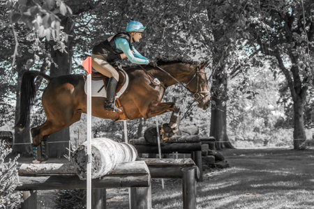 HOUGHTON, NORFOLK/ENGLAND - May 27th 2017: Houghton International Horse Trials 2017 Including cross country, eventing, show jumping and dressage at the top levelのeditorial素材
