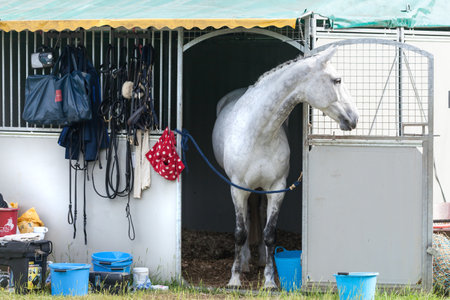 HOUGHTON, NORFOLK/ENGLAND - May 28th 2017: Houghton International Horse Trials 2017 Including cross country, eventing, show jumping and dressage at the top levelのeditorial素材