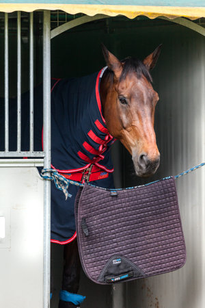 HOUGHTON, NORFOLK/ENGLAND - May 28th 2017: Houghton International Horse Trials 2017 Including cross country, eventing, show jumping and dressage at the top levelのeditorial素材