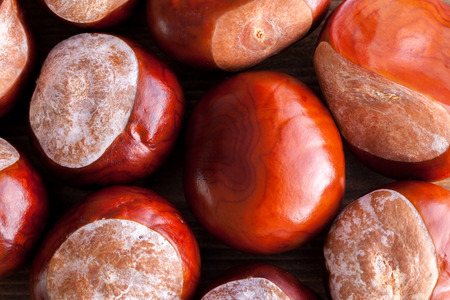 Conkers in a pile viewed from above close up on a wooden tableの写真素材