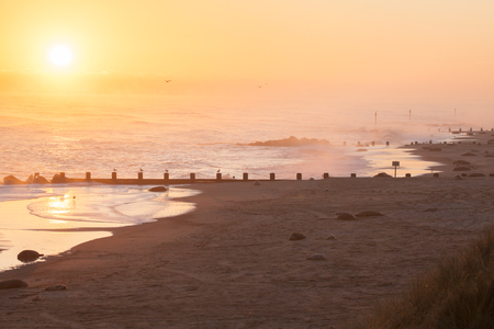 Norfolk coast line at sun rise with wild seals with their pups on the beachの写真素材