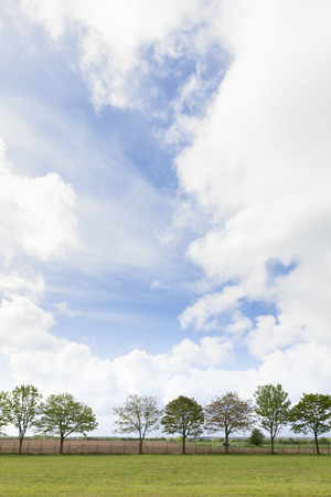 Tree lined landscape with blue sky, white clouds and green grass in spring time Englandの写真素材
