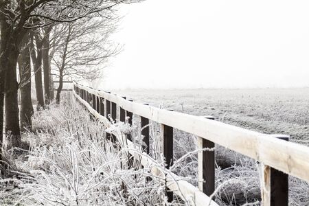 Rural winter snow scene with wooden fence and bare trees. Empty farm field and copy spaceの写真素材
