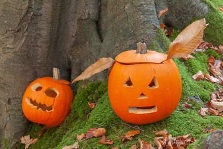 Two pumpkins with halloween faces, sat by a tree in the forests in autumnの写真素材
