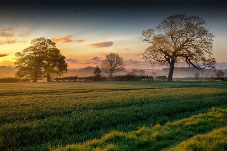 Sunrise rural landscape with mist and pink skies in Norfolk UK. Spring time scene with fields, crops and mature treesの写真素材