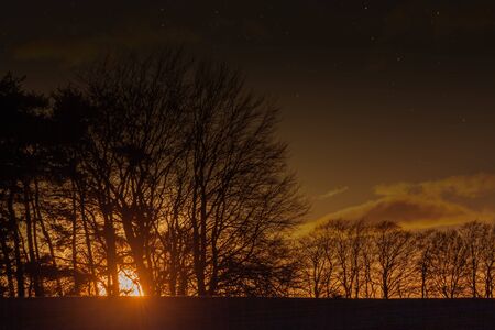 Sunset glowing though winter trees. Dusk landscape in rural Norfolk UKの写真素材