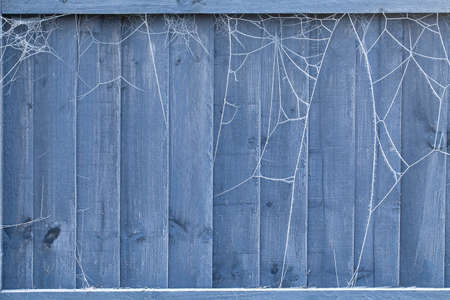 Frozen spiders webs on a wooden garden fence panel in winter. Outdoor natureの写真素材