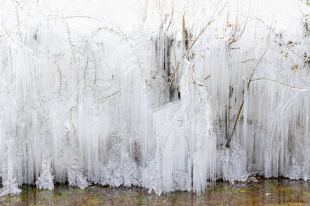 Beautiful Norfolk  ice and freezing icicles dangling from large trees in winter near frozen waterの写真素材