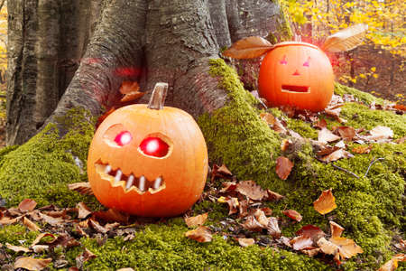 Halloween pumpkins with cutout scary faces in the forest.の写真素材