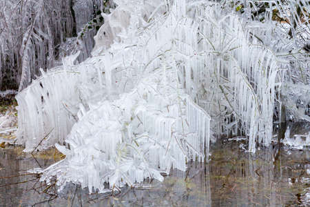 Trees covered in ice and icicles in freezing Norfolk winter weatherの写真素材