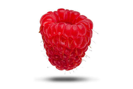 Single raspberry fruit close up isolated on white with a shadow. Healthy natural diet conceptの写真素材