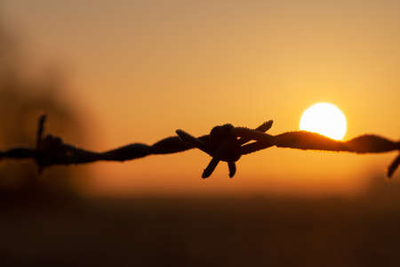 Beautiful orange sunset with a close up of barbed wire. Rural countryside detail with metal wire fence macro. Abstract landscape of sun settingの写真素材