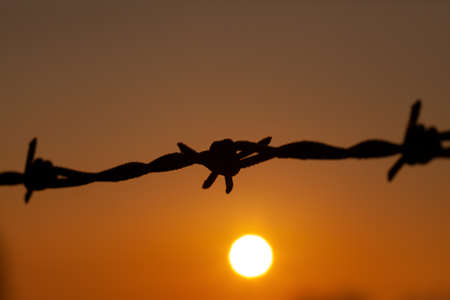 Beautiful orange sunset with a close up of barbed wire. Rural countryside detail with metal wire fence macro. Abstract landscape of sun settingの写真素材